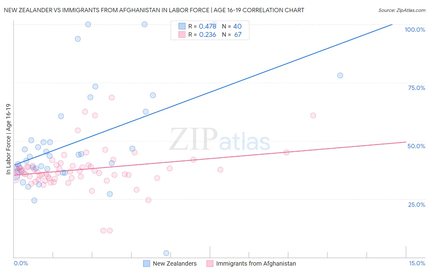 New Zealander vs Immigrants from Afghanistan In Labor Force | Age 16-19