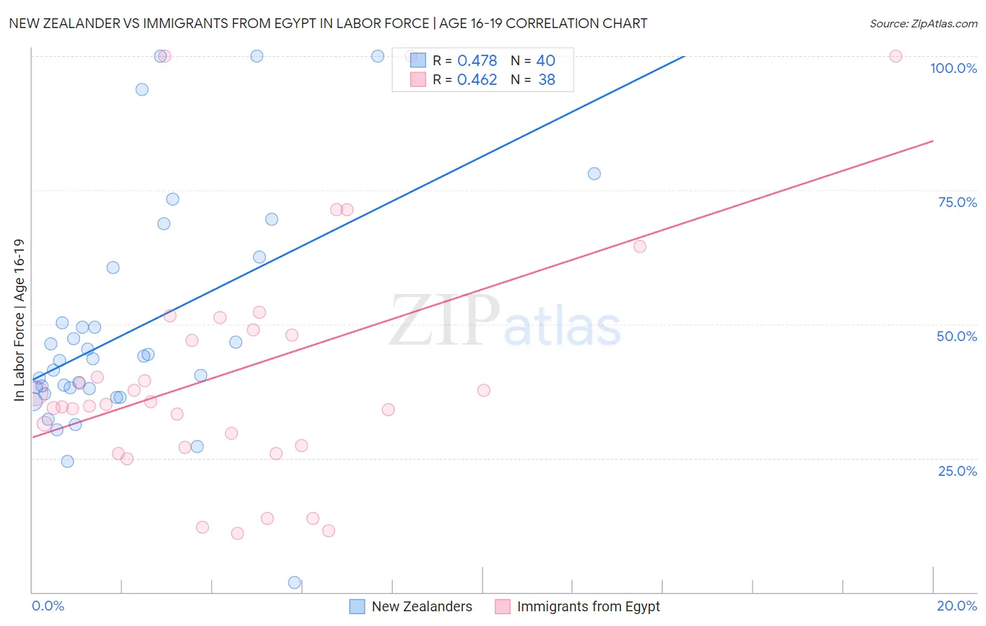 New Zealander vs Immigrants from Egypt In Labor Force | Age 16-19
