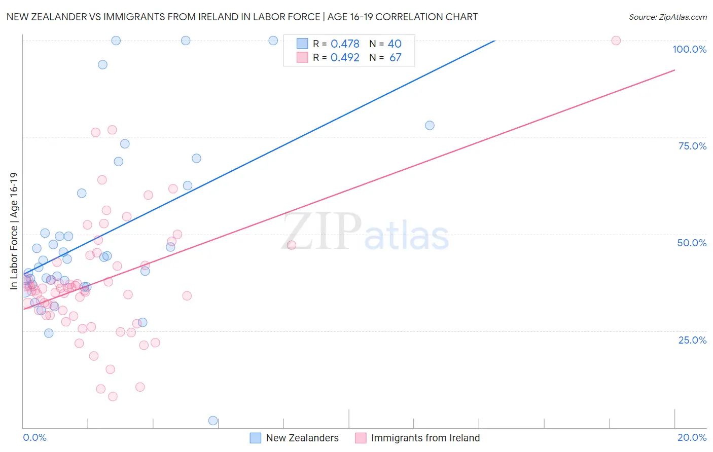 New Zealander vs Immigrants from Ireland In Labor Force | Age 16-19
