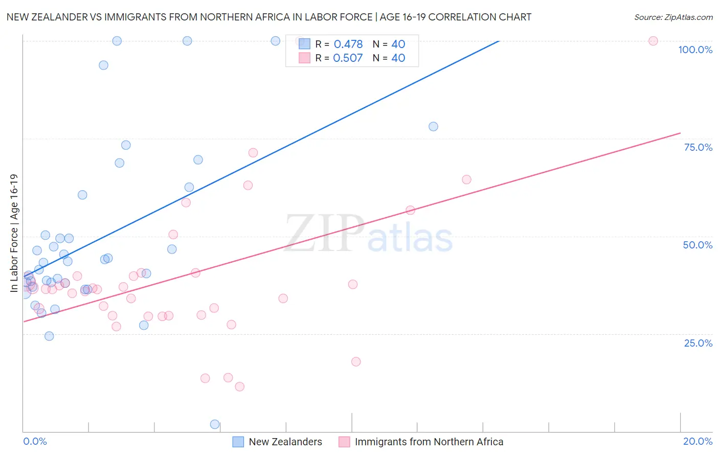 New Zealander vs Immigrants from Northern Africa In Labor Force | Age 16-19