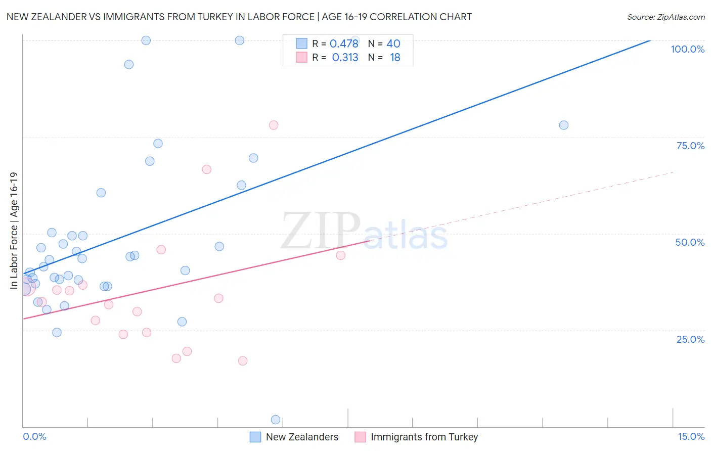 New Zealander vs Immigrants from Turkey In Labor Force | Age 16-19