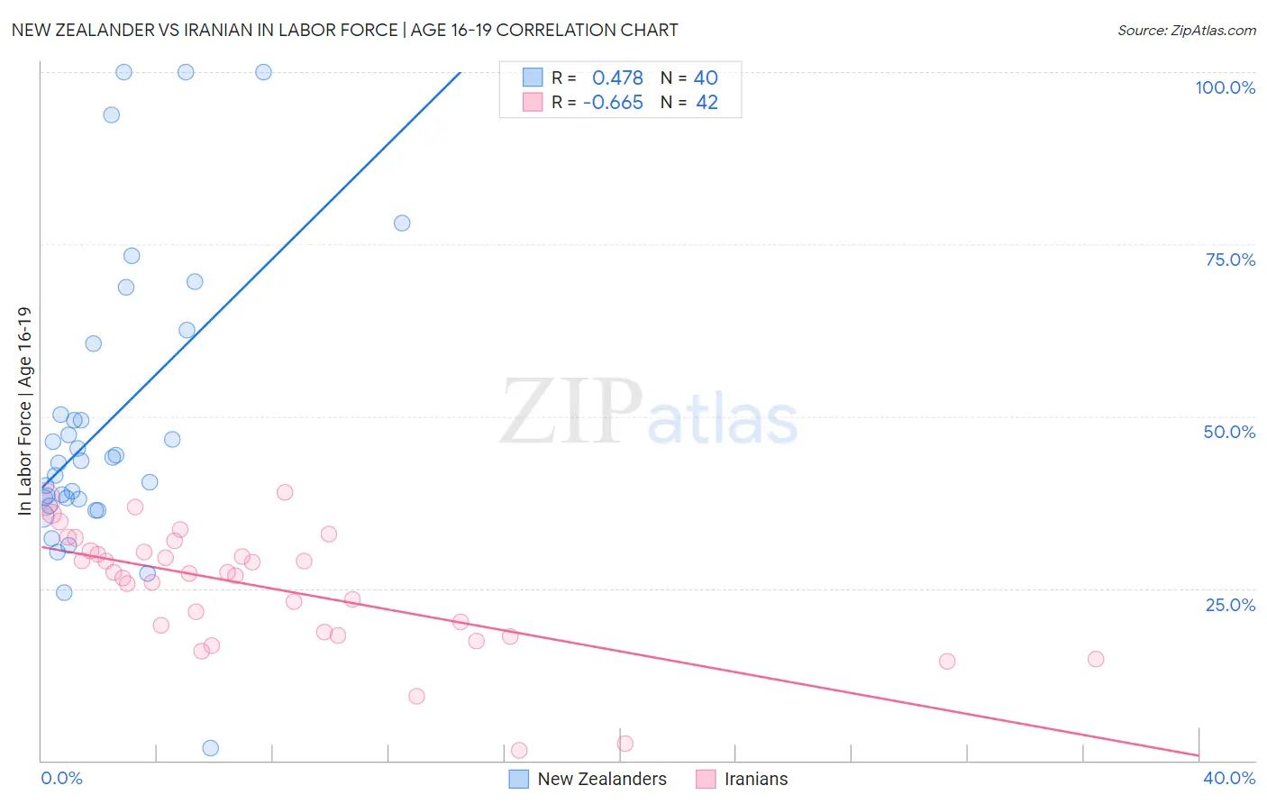 New Zealander vs Iranian In Labor Force | Age 16-19