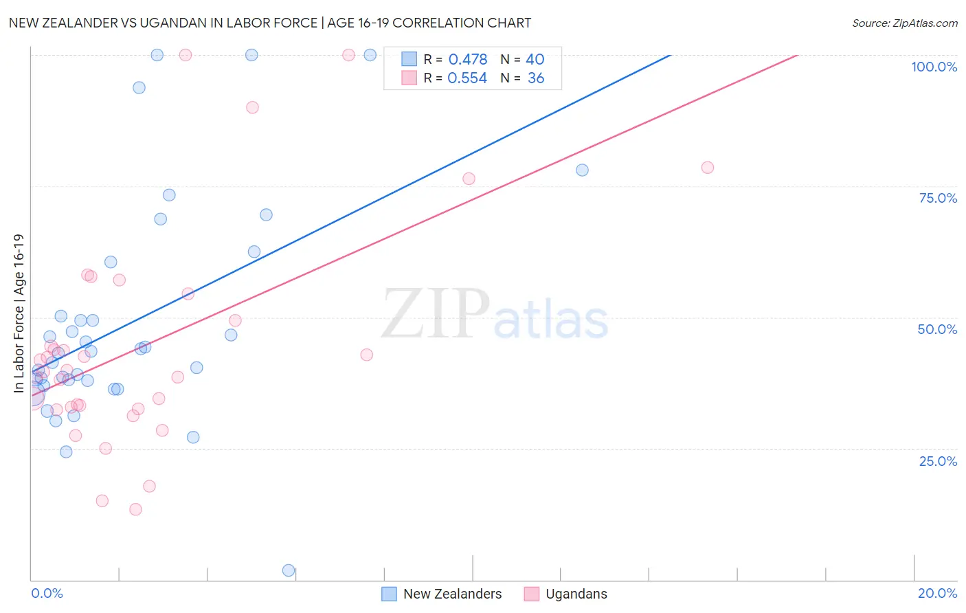 New Zealander vs Ugandan In Labor Force | Age 16-19