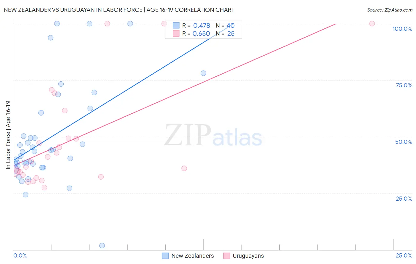 New Zealander vs Uruguayan In Labor Force | Age 16-19