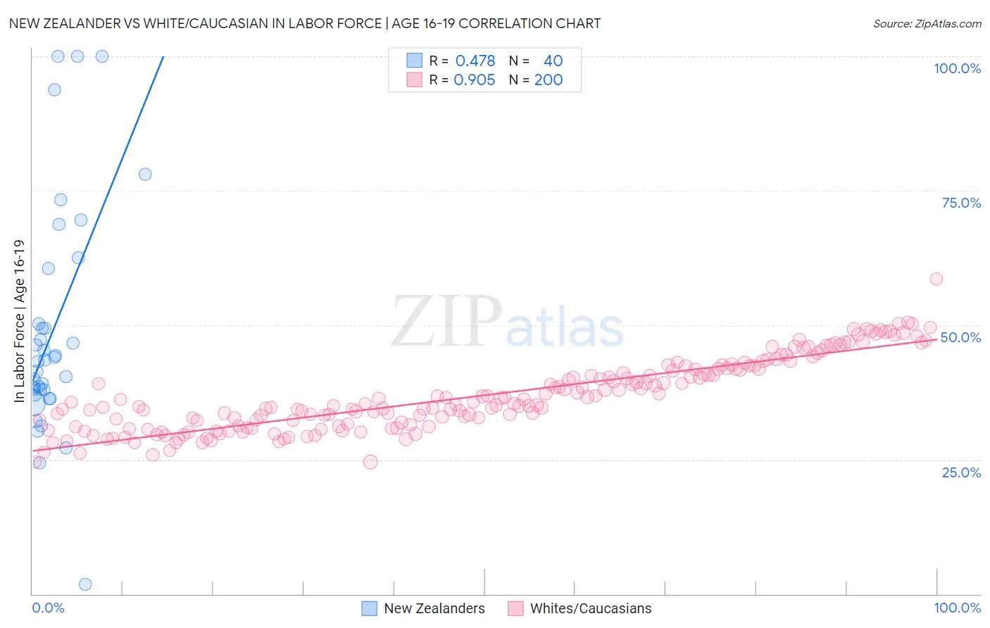 New Zealander vs White/Caucasian In Labor Force | Age 16-19