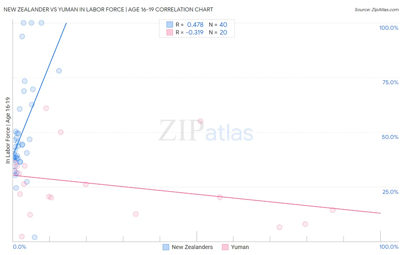 New Zealander vs Yuman In Labor Force | Age 16-19