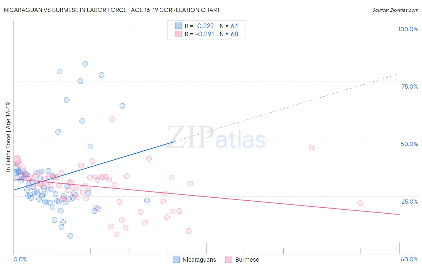 Nicaraguan vs Burmese In Labor Force | Age 16-19
