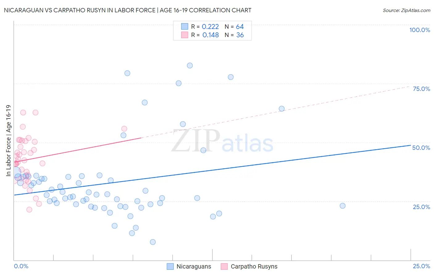 Nicaraguan vs Carpatho Rusyn In Labor Force | Age 16-19