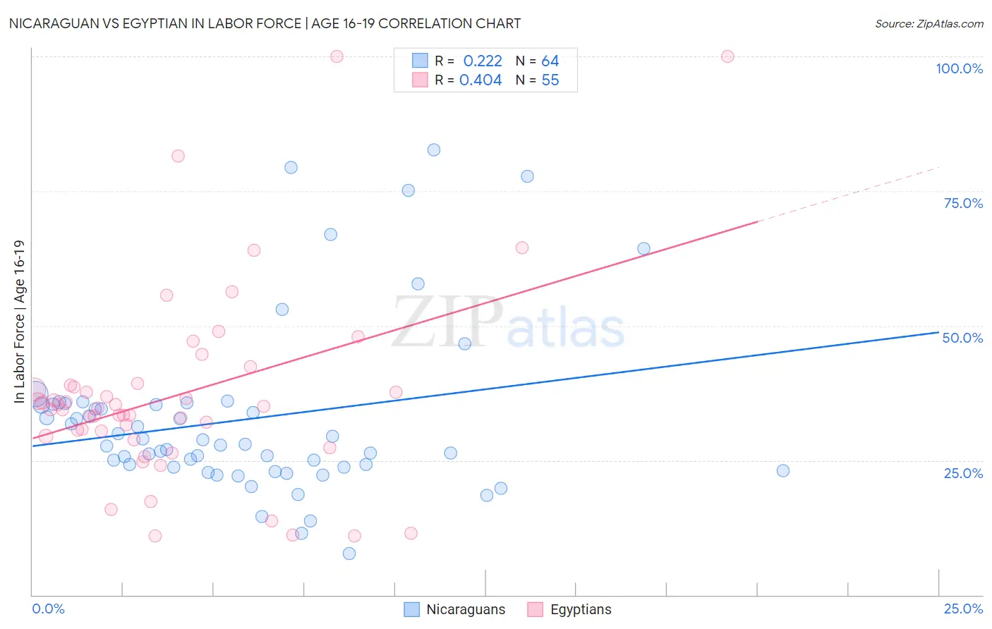 Nicaraguan vs Egyptian In Labor Force | Age 16-19