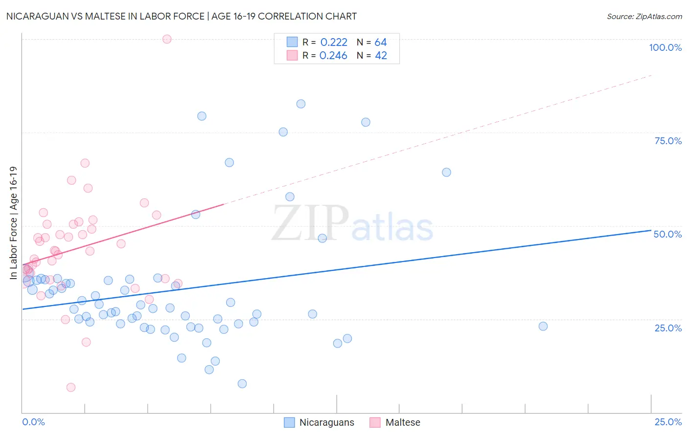 Nicaraguan vs Maltese In Labor Force | Age 16-19