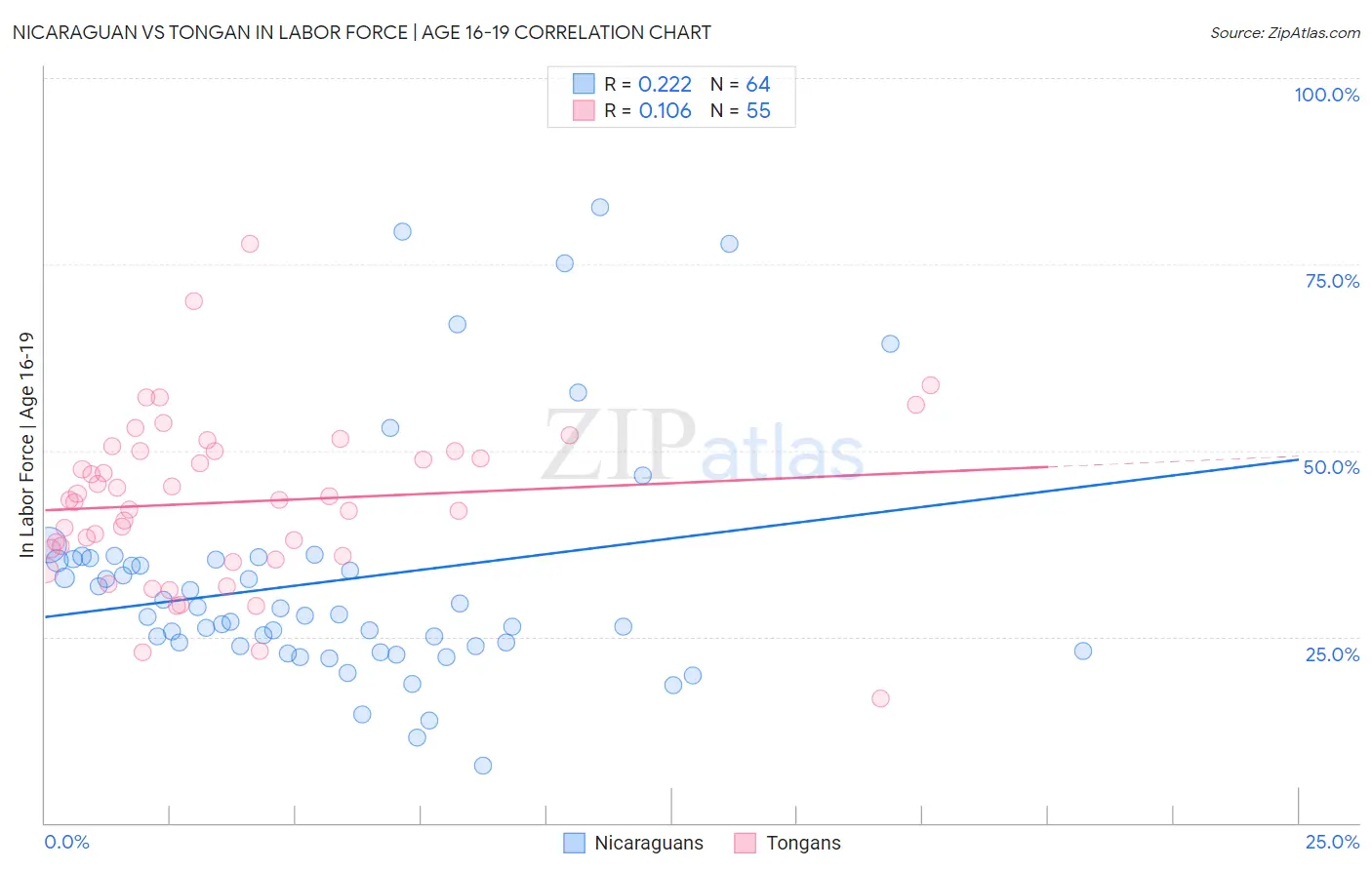 Nicaraguan vs Tongan In Labor Force | Age 16-19