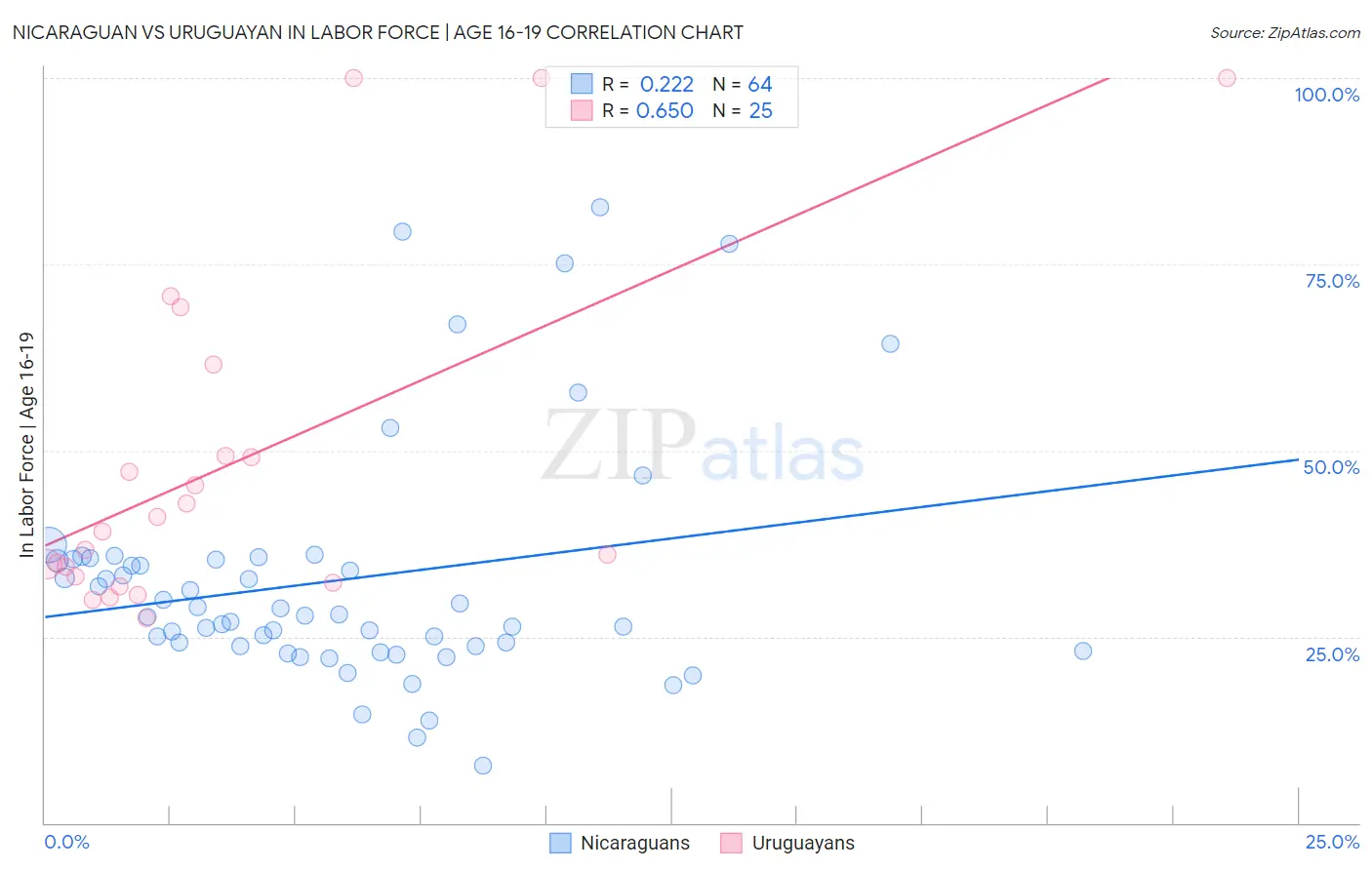 Nicaraguan vs Uruguayan In Labor Force | Age 16-19