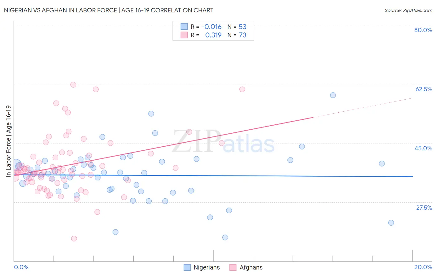 Nigerian vs Afghan In Labor Force | Age 16-19