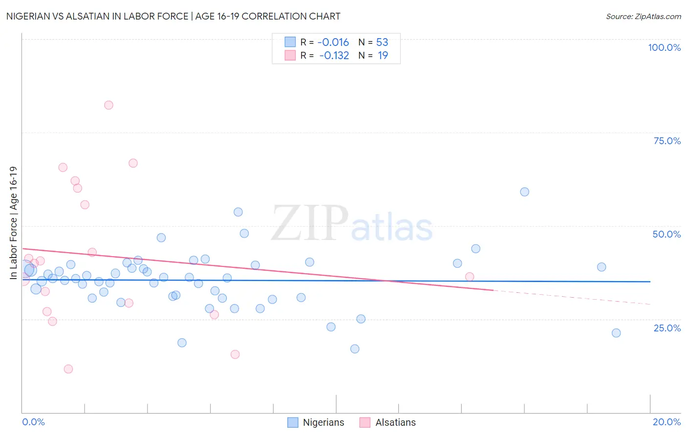 Nigerian vs Alsatian In Labor Force | Age 16-19