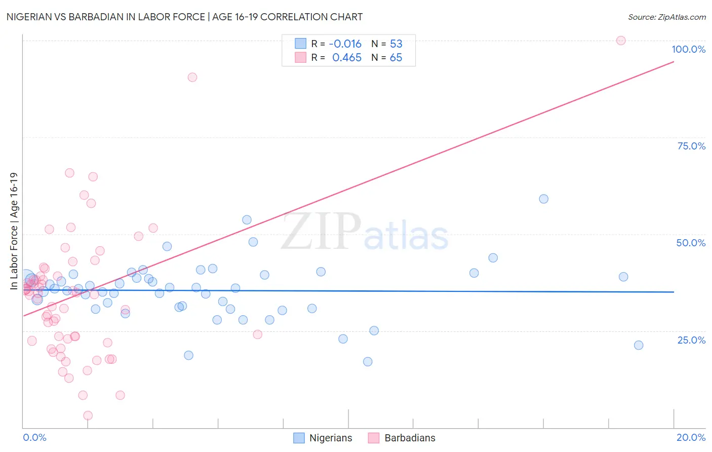 Nigerian vs Barbadian In Labor Force | Age 16-19