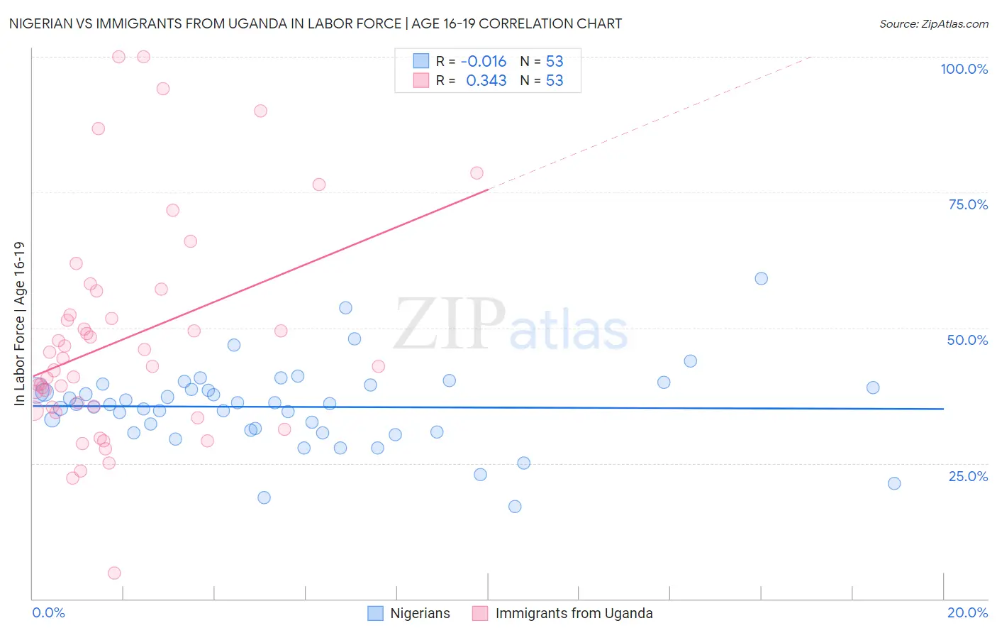 Nigerian vs Immigrants from Uganda In Labor Force | Age 16-19