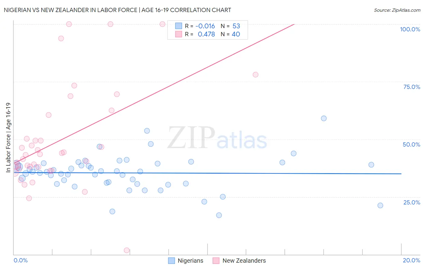 Nigerian vs New Zealander In Labor Force | Age 16-19