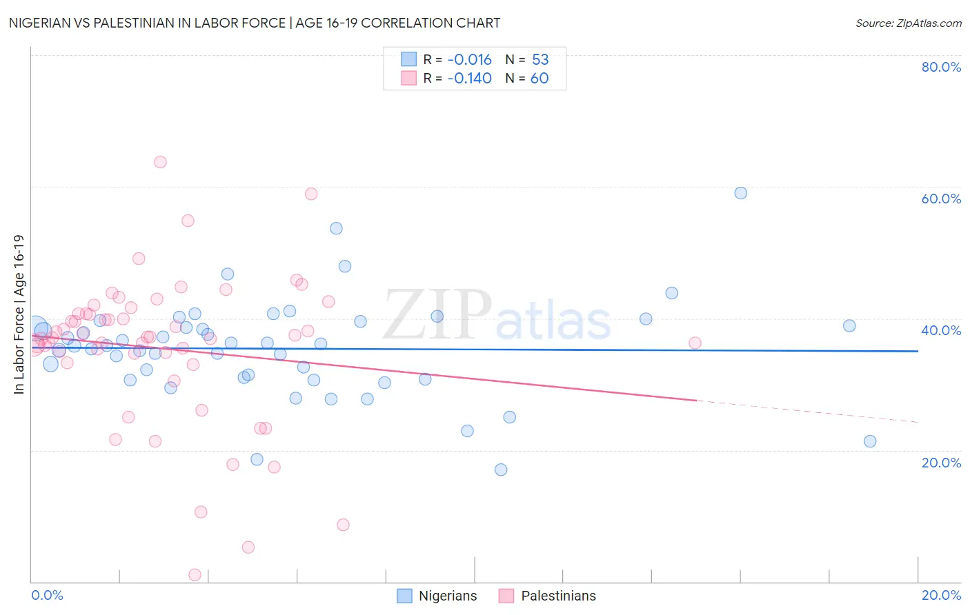Nigerian vs Palestinian In Labor Force | Age 16-19