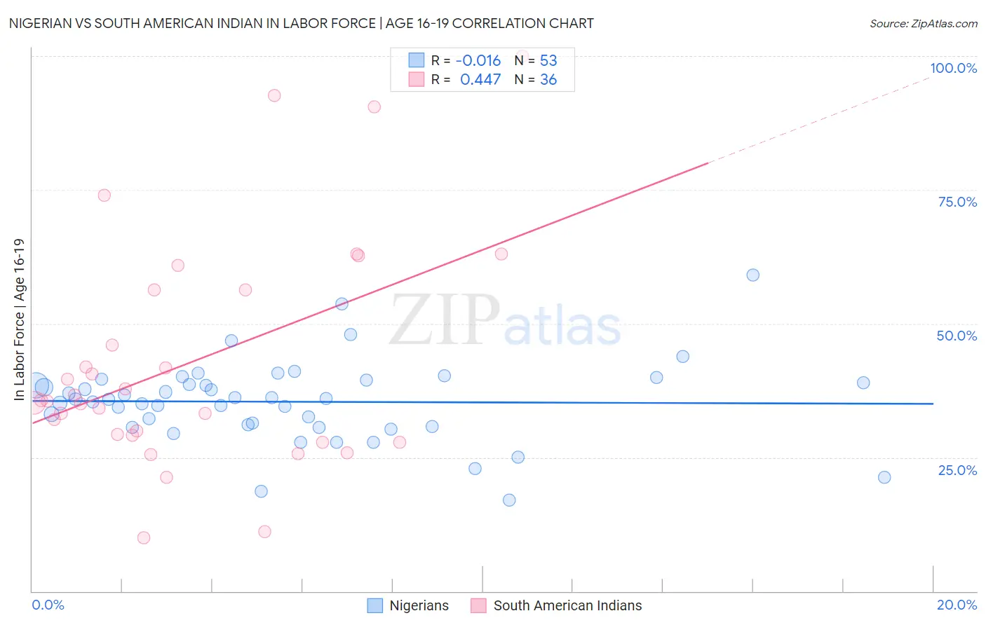 Nigerian vs South American Indian In Labor Force | Age 16-19