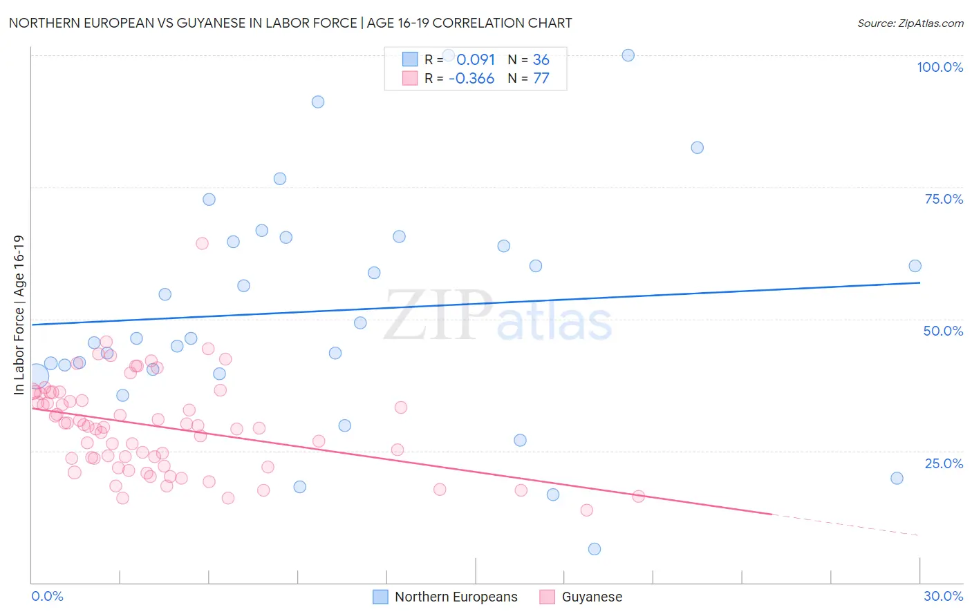 Northern European vs Guyanese In Labor Force | Age 16-19