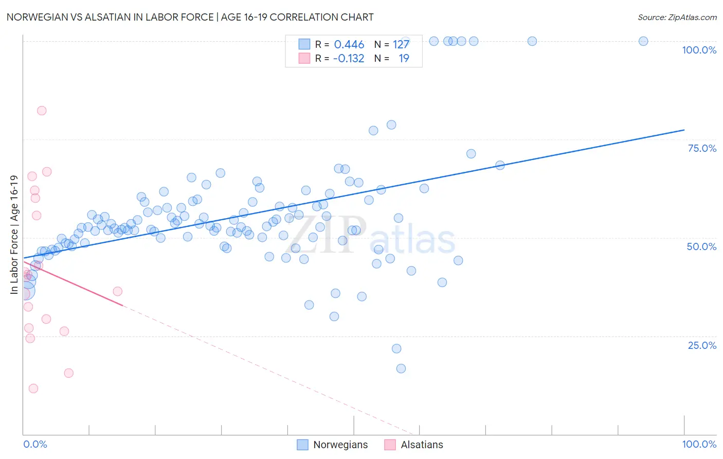 Norwegian vs Alsatian In Labor Force | Age 16-19