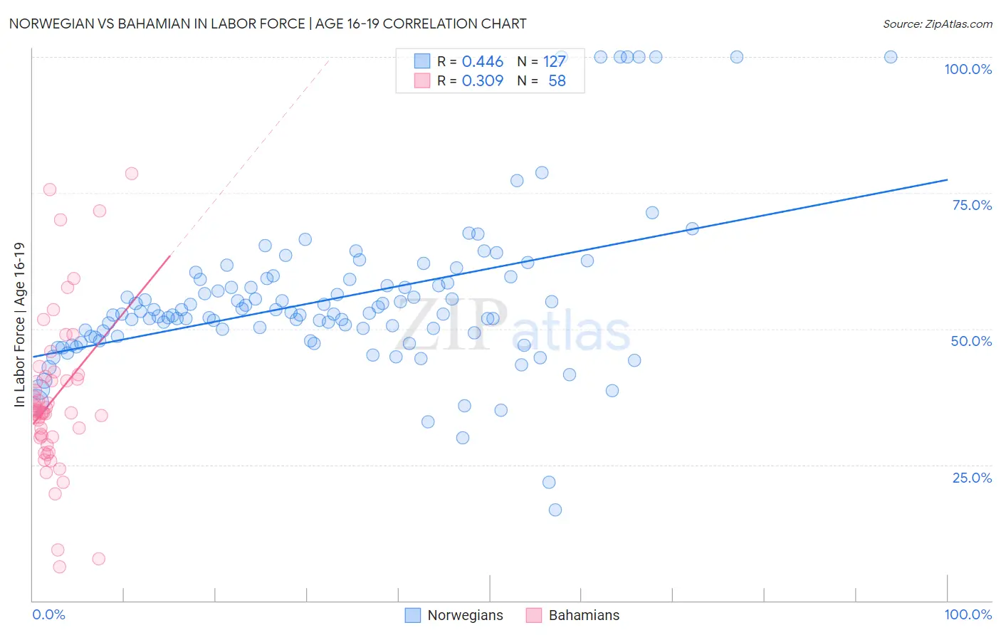 Norwegian vs Bahamian In Labor Force | Age 16-19
