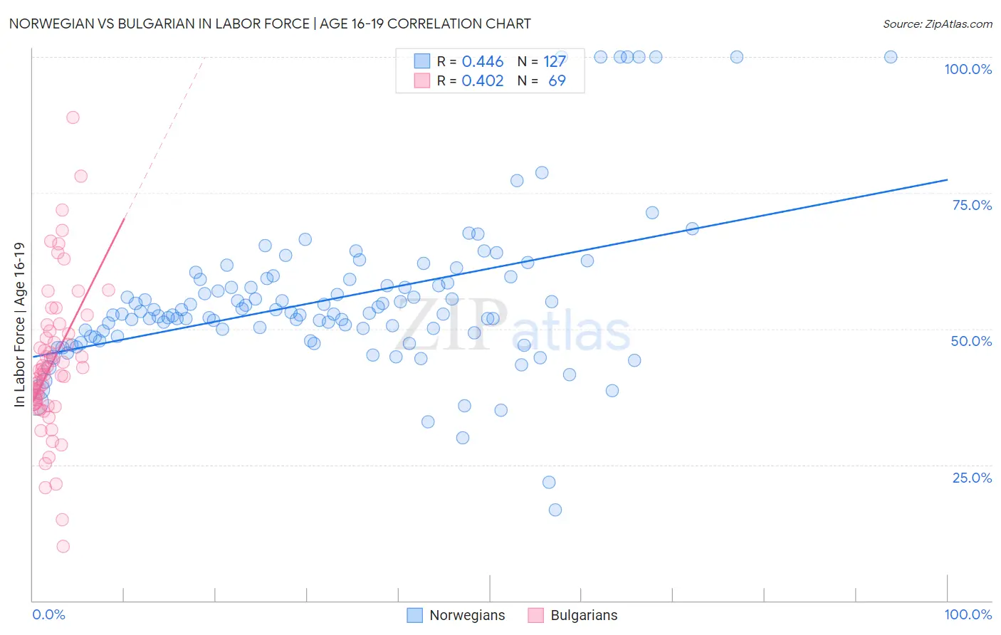 Norwegian vs Bulgarian In Labor Force | Age 16-19