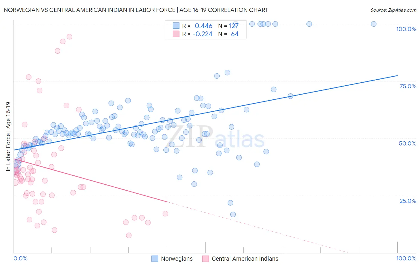 Norwegian vs Central American Indian In Labor Force | Age 16-19