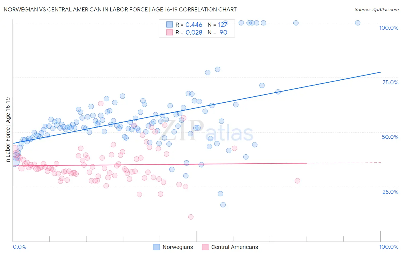 Norwegian vs Central American In Labor Force | Age 16-19