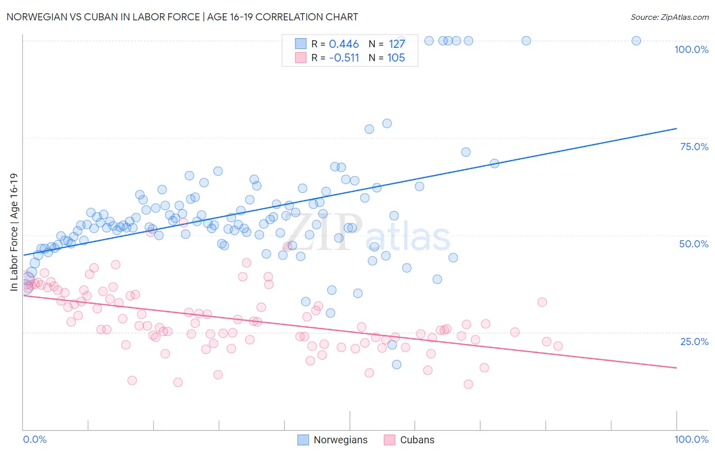 Norwegian vs Cuban In Labor Force | Age 16-19