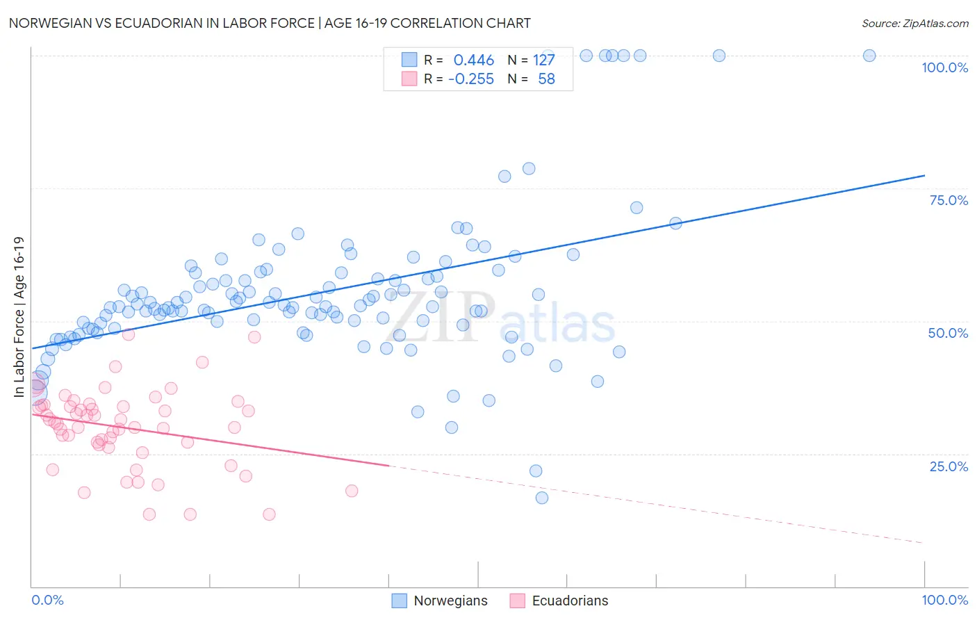 Norwegian vs Ecuadorian In Labor Force | Age 16-19