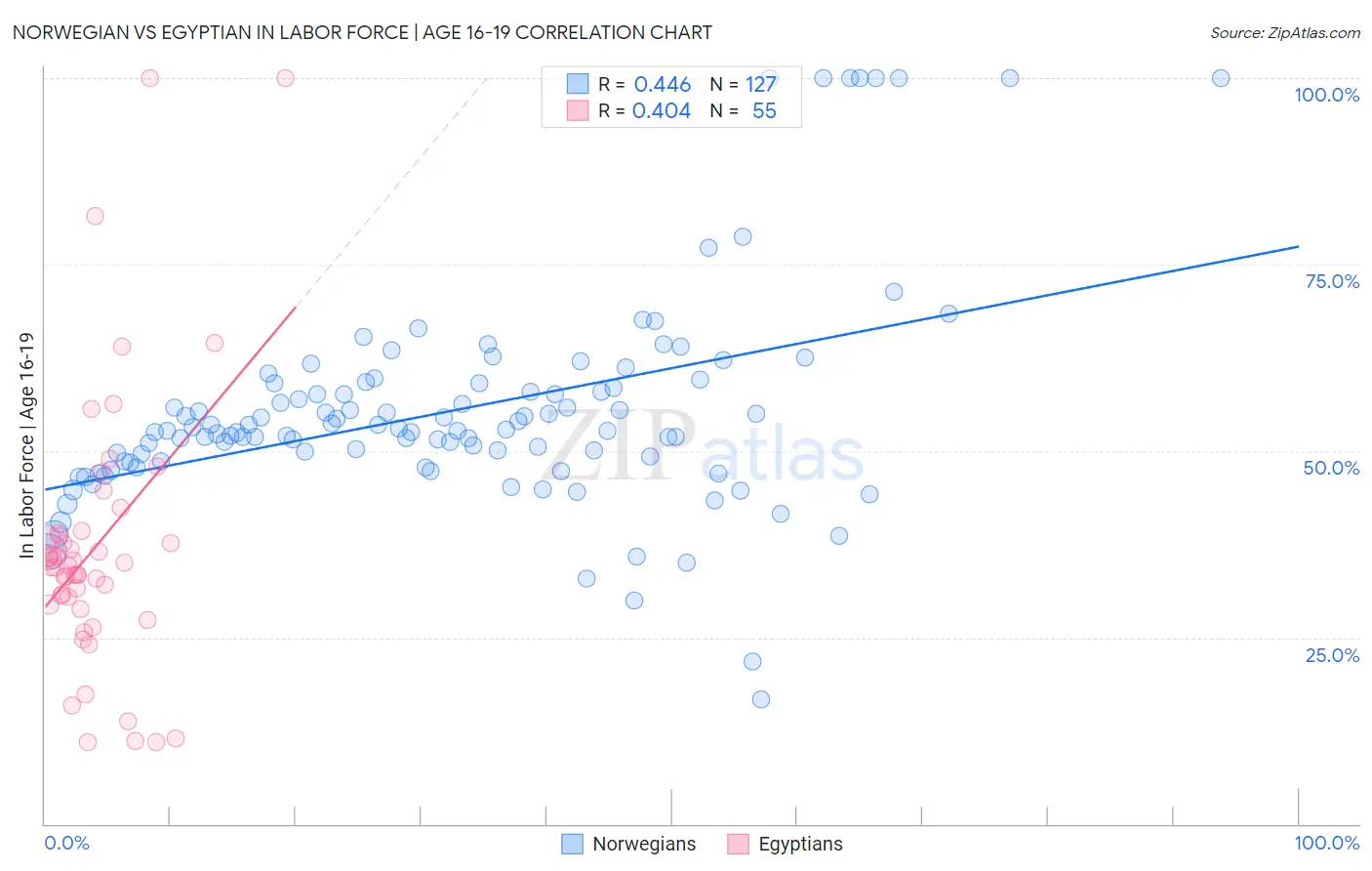 Norwegian vs Egyptian In Labor Force | Age 16-19