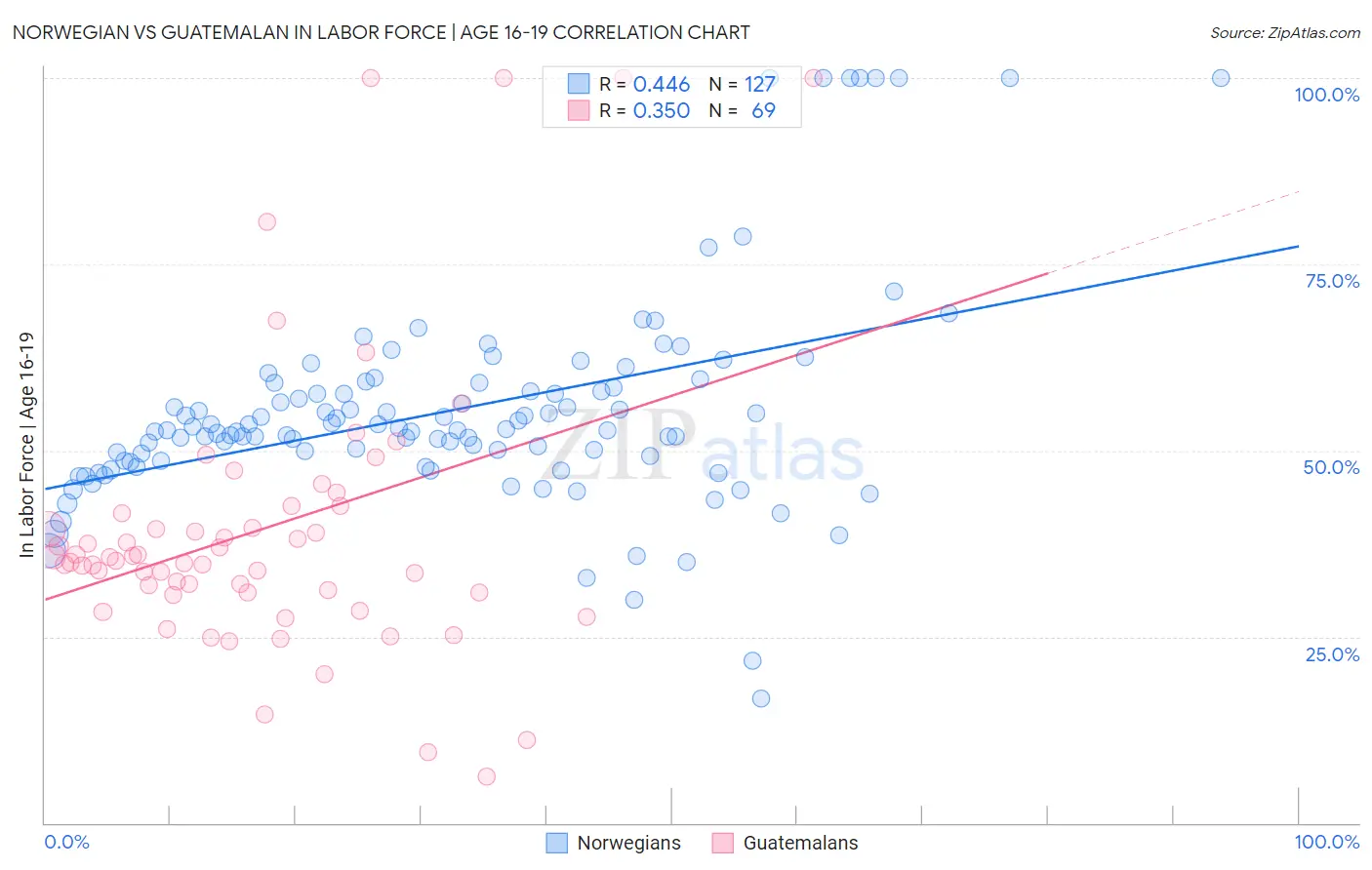 Norwegian vs Guatemalan In Labor Force | Age 16-19