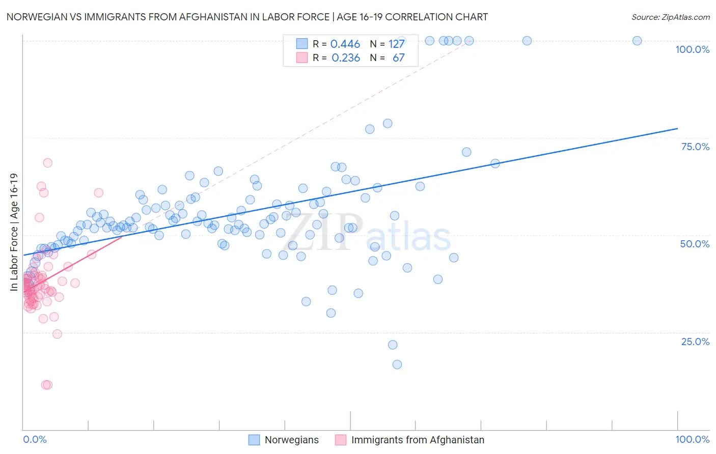 Norwegian vs Immigrants from Afghanistan In Labor Force | Age 16-19