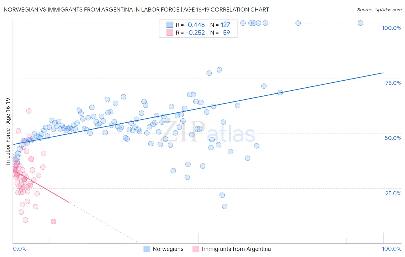 Norwegian vs Immigrants from Argentina In Labor Force | Age 16-19