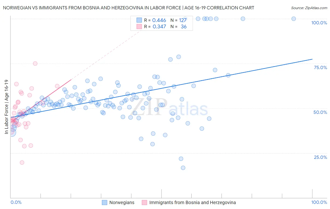 Norwegian vs Immigrants from Bosnia and Herzegovina In Labor Force | Age 16-19