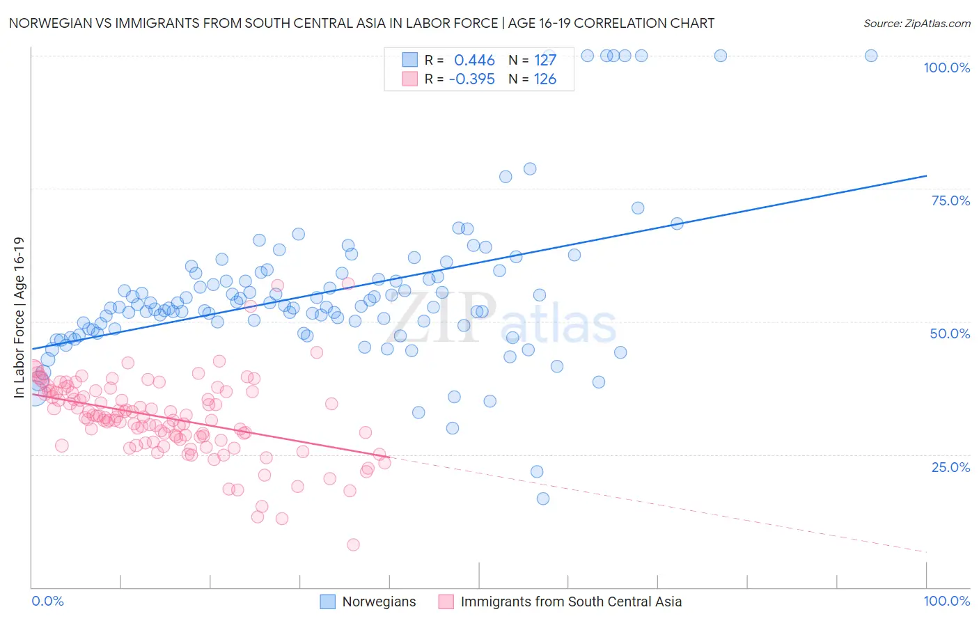 Norwegian vs Immigrants from South Central Asia In Labor Force | Age 16-19