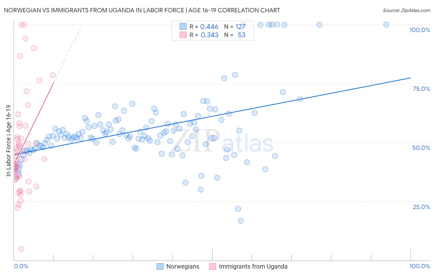 Norwegian vs Immigrants from Uganda In Labor Force | Age 16-19