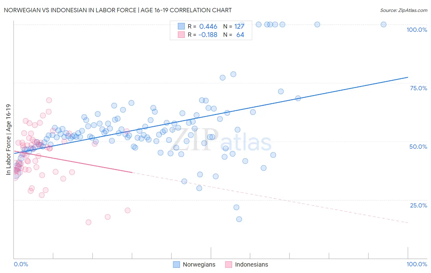 Norwegian vs Indonesian In Labor Force | Age 16-19