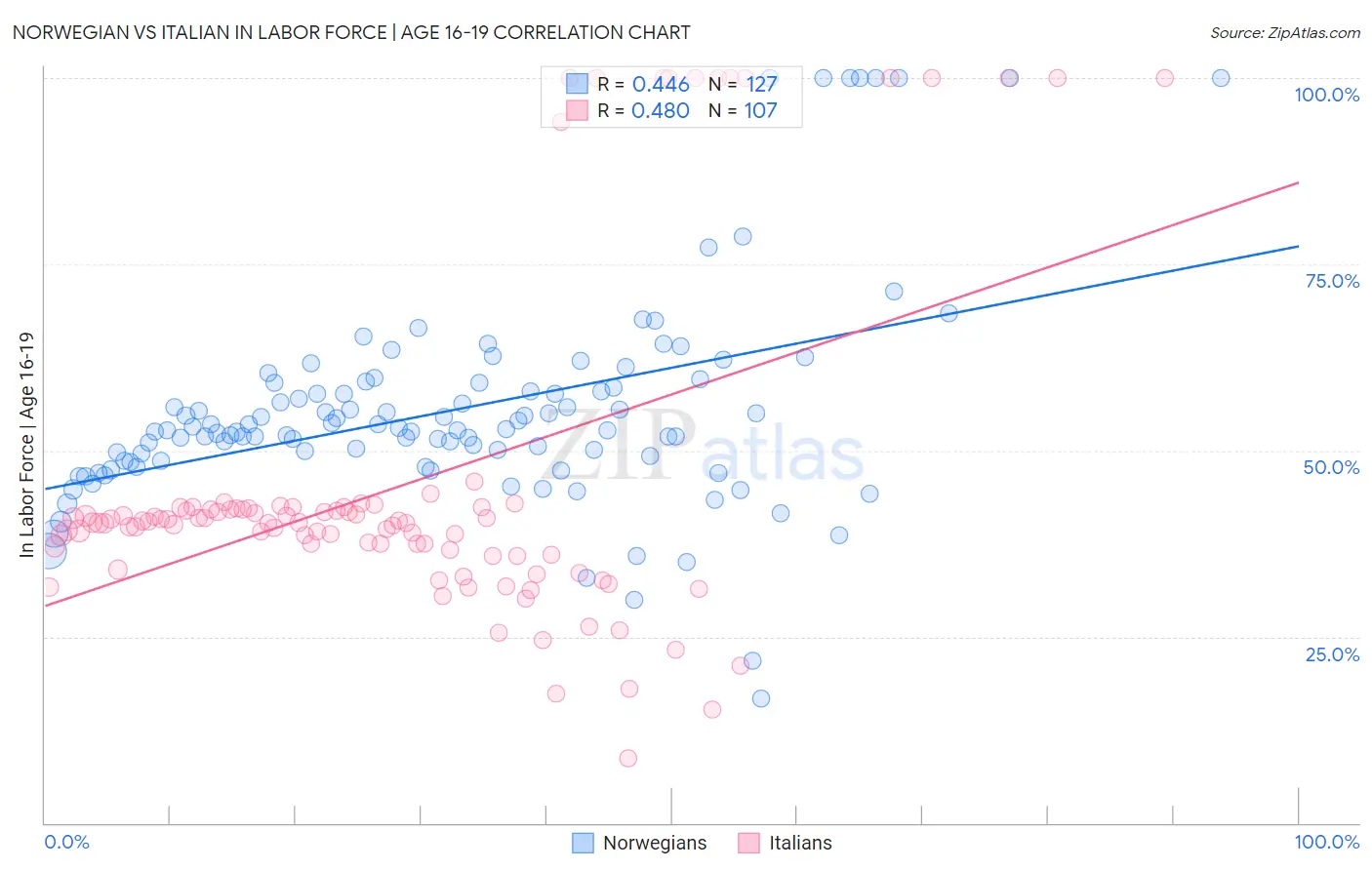 Norwegian vs Italian In Labor Force | Age 16-19