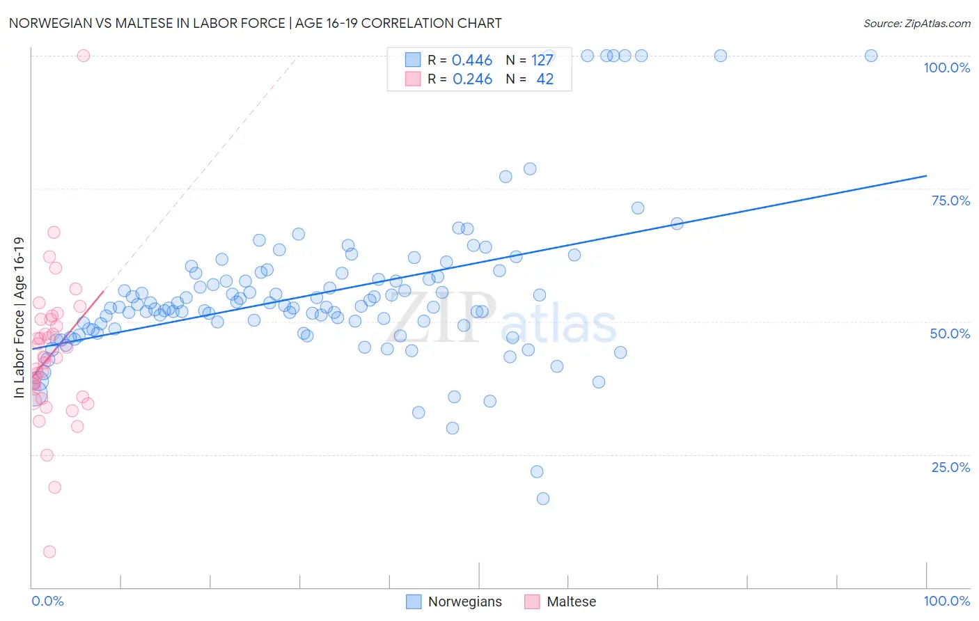 Norwegian vs Maltese In Labor Force | Age 16-19