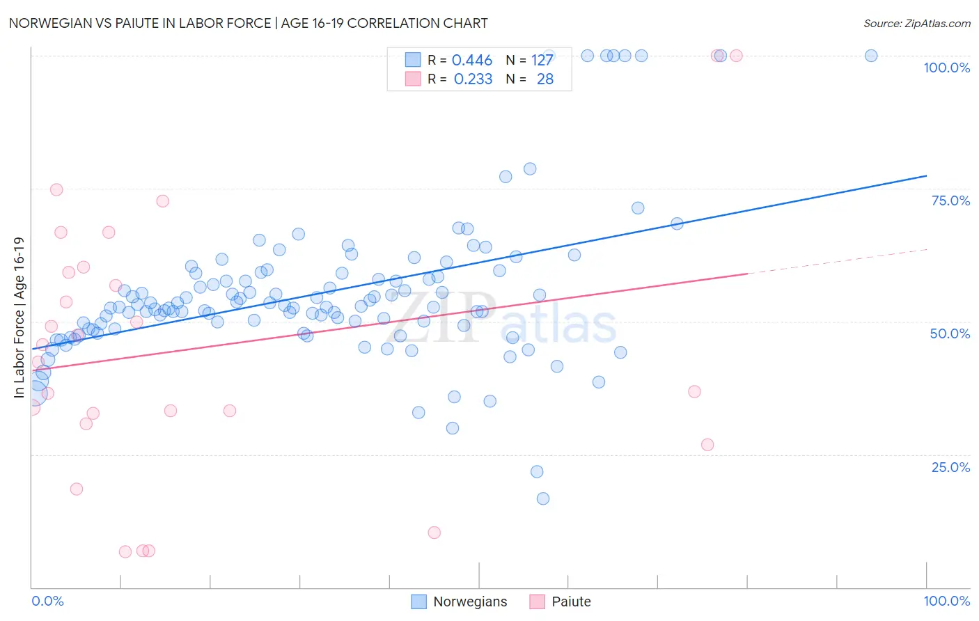 Norwegian vs Paiute In Labor Force | Age 16-19
