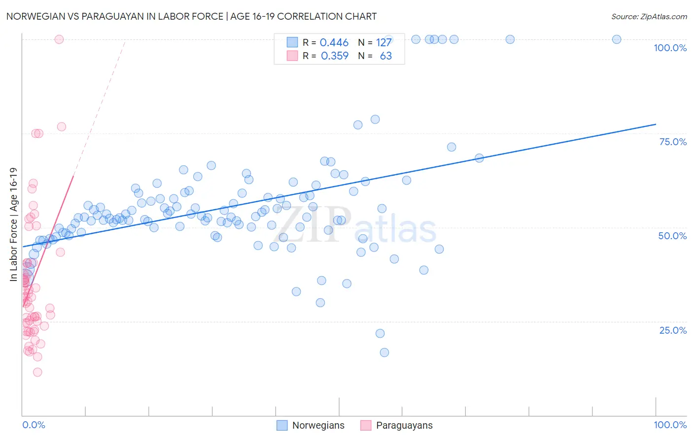Norwegian vs Paraguayan In Labor Force | Age 16-19