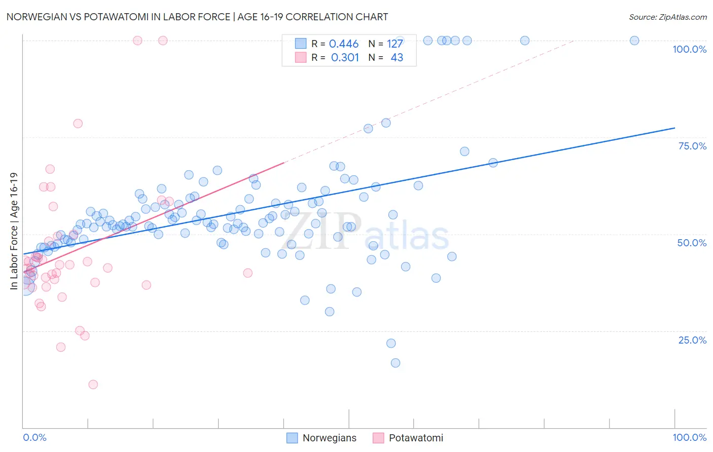 Norwegian vs Potawatomi In Labor Force | Age 16-19