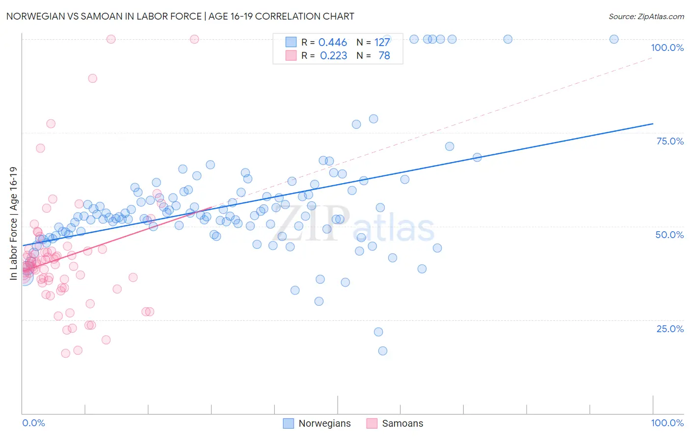 Norwegian vs Samoan In Labor Force | Age 16-19