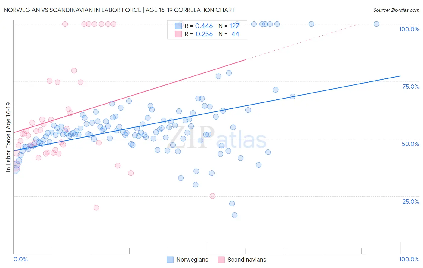 Norwegian vs Scandinavian In Labor Force | Age 16-19