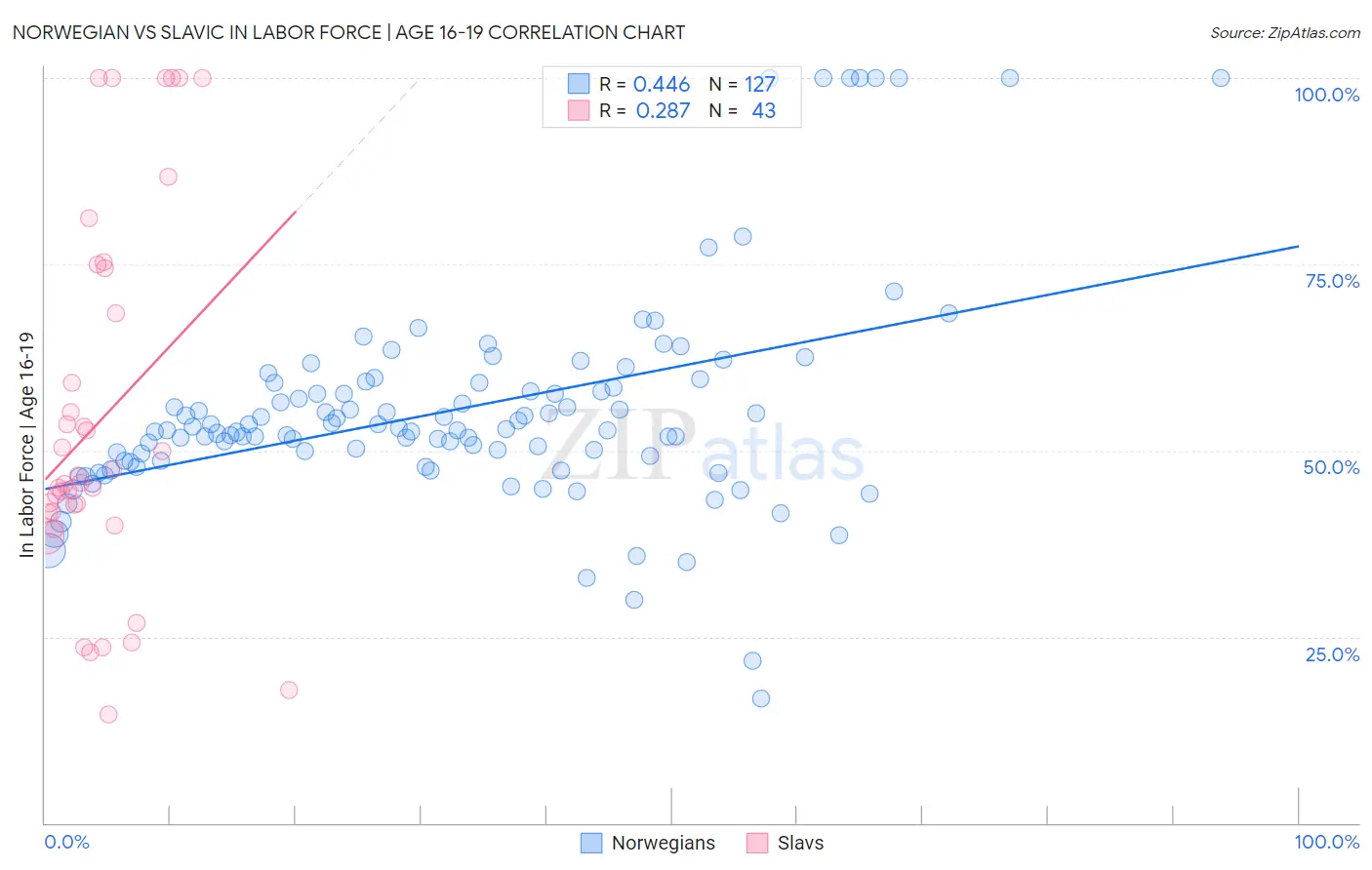 Norwegian vs Slavic In Labor Force | Age 16-19