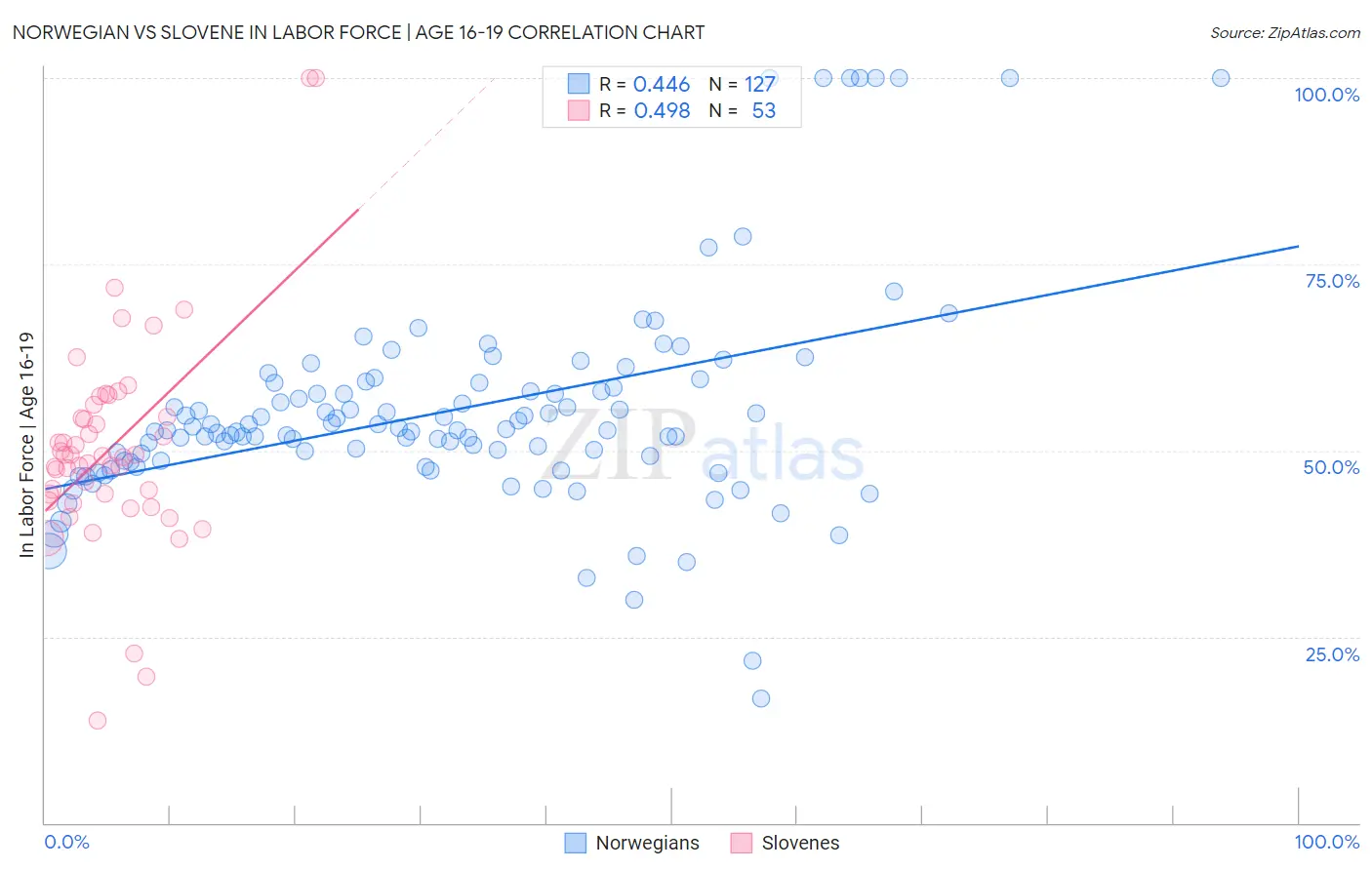 Norwegian vs Slovene In Labor Force | Age 16-19
