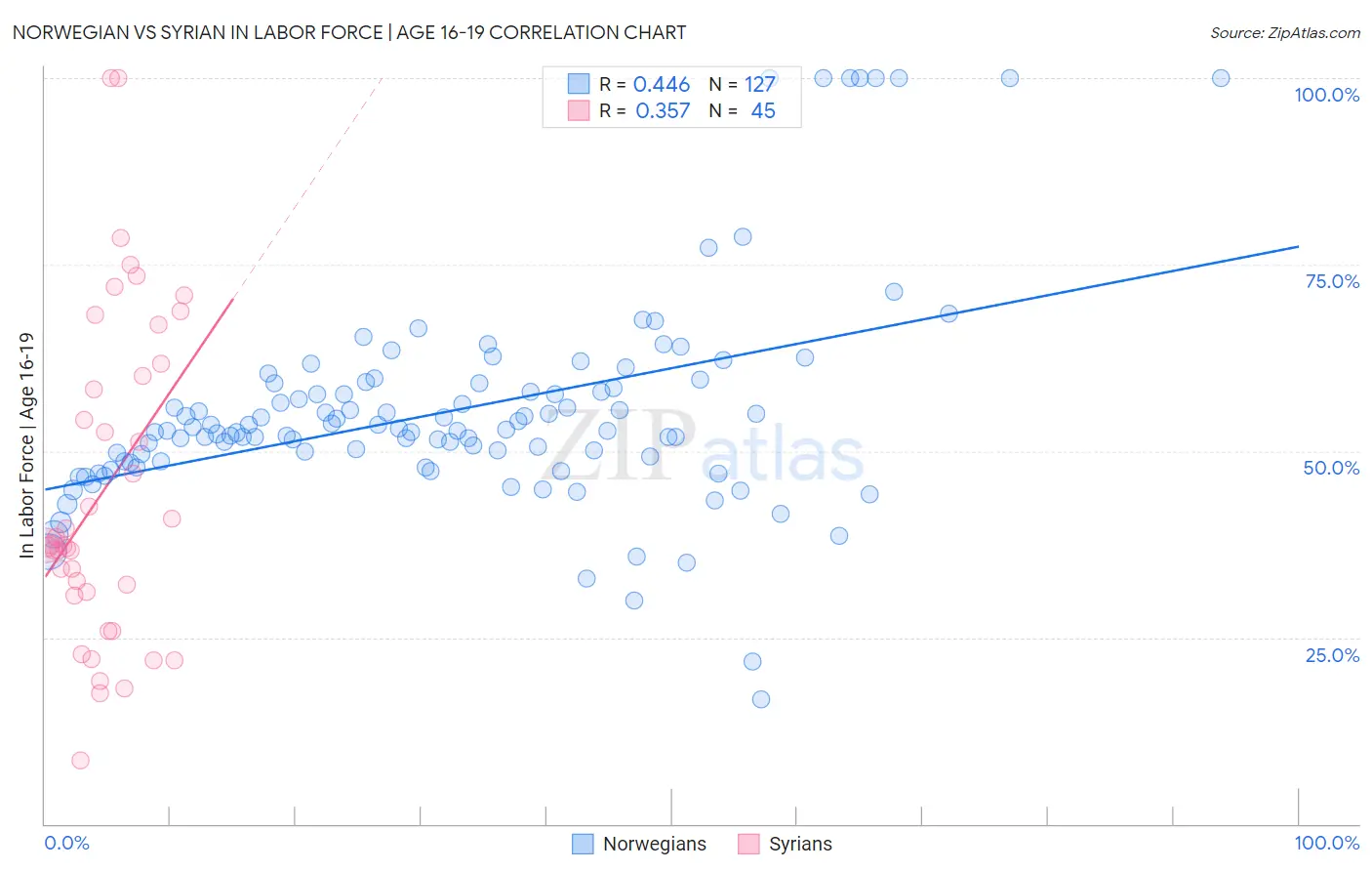 Norwegian vs Syrian In Labor Force | Age 16-19