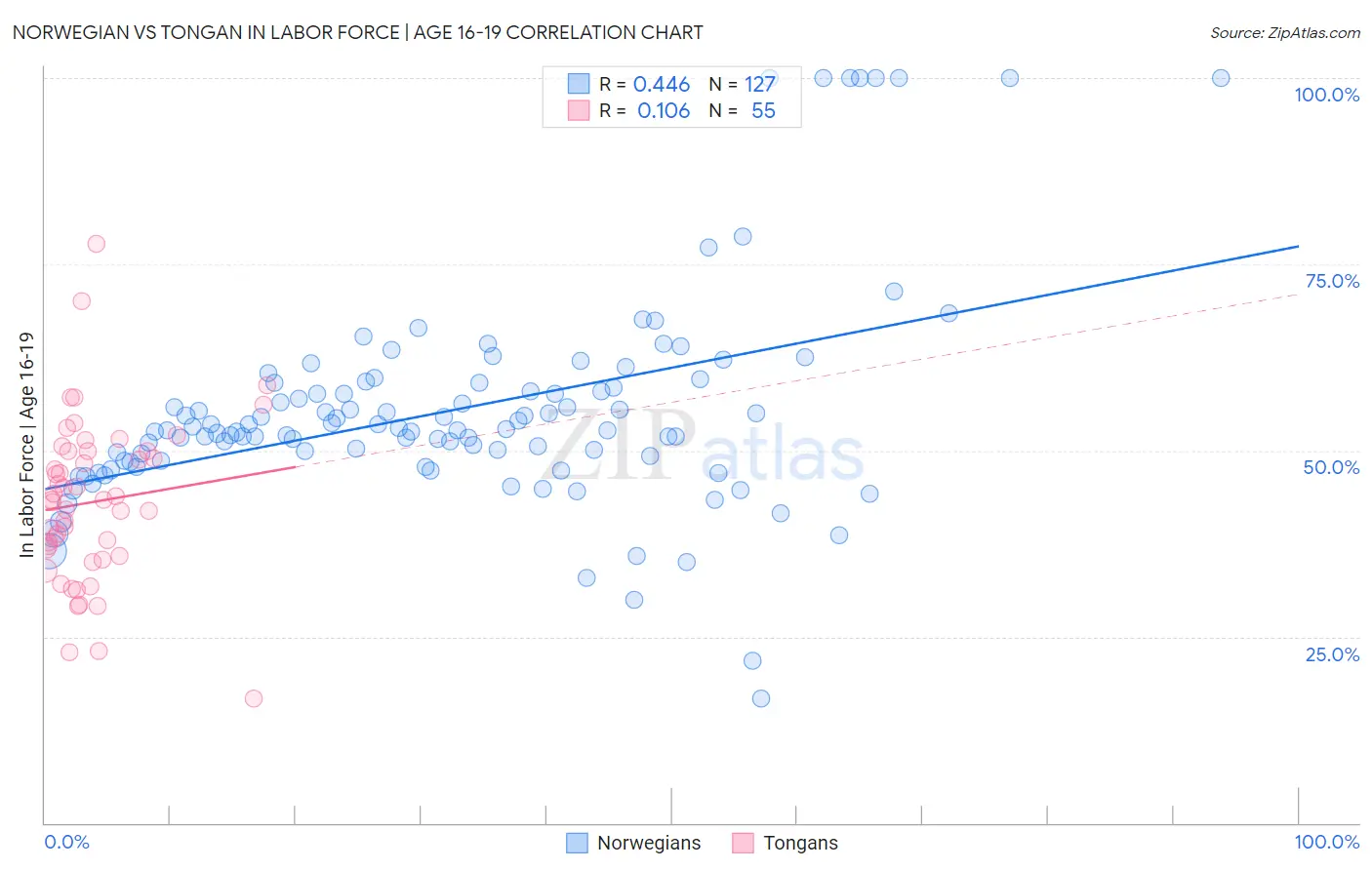 Norwegian vs Tongan In Labor Force | Age 16-19